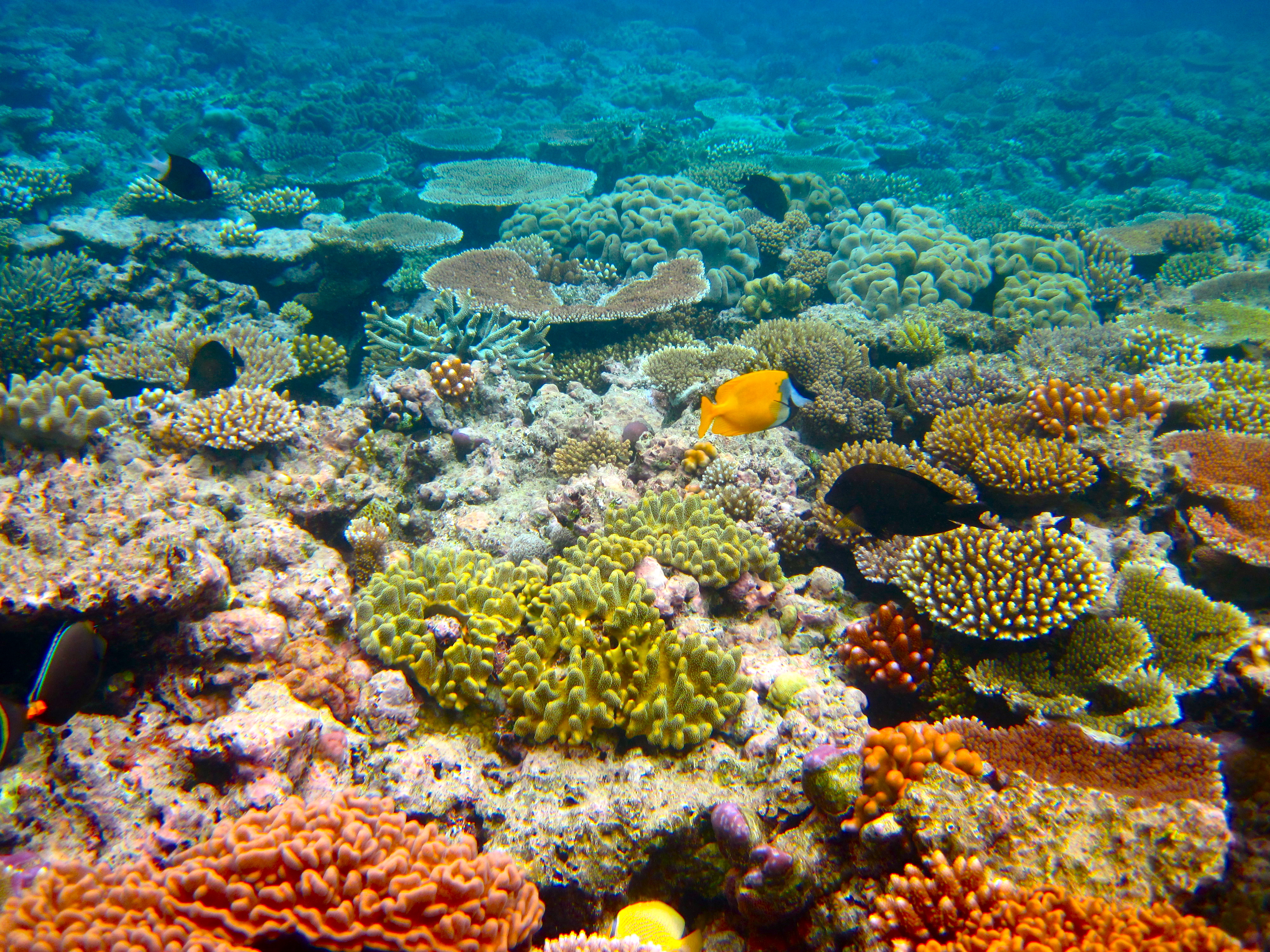 Le migliori immersioni in Europa