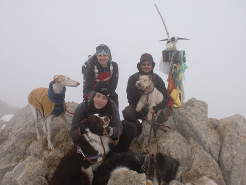 Botes i Potes: escursionismo con cani a Barcellona