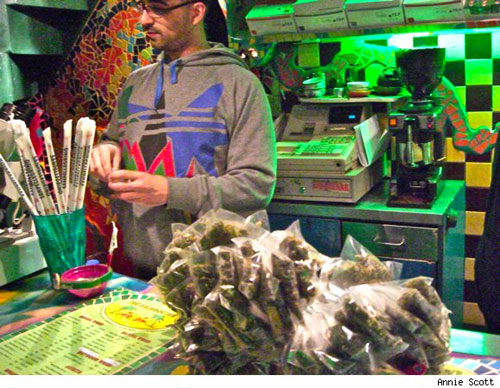 Cannabis Cup a Amstersam