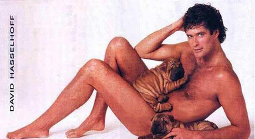 David Hasselhoff, protagonista di Baywatch, si esibisce a Vienna