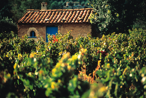 Enoturismo: degustazione di vini spagnoli