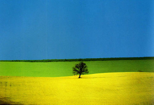 Franco Fontana a Valencia