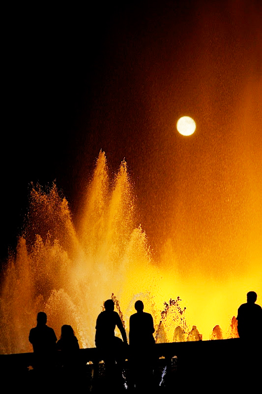 Passeggiando per il Montjuïc. Musei, Giardini e Altre Attività