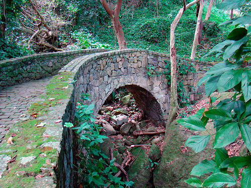 Il Parque da Catacumba, il segreto di Rio de Janeiro