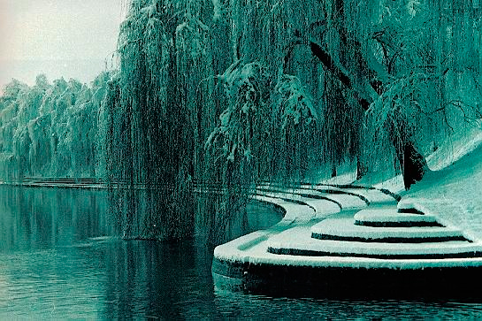 Plečnik’s Ljubljana