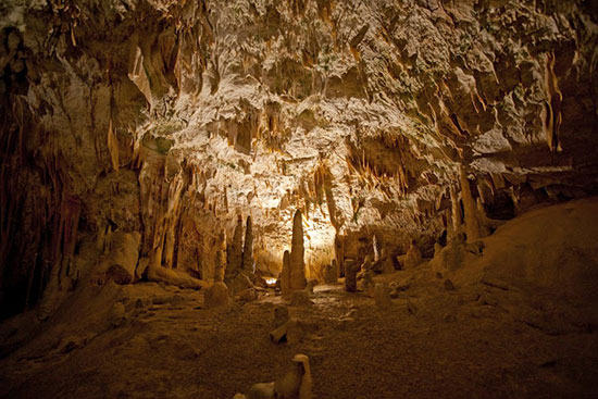 Postojna e Škocjan, le grotte naturali di Ljubljana Postojna e Škocjan, le grotte naturali di Ljubljana