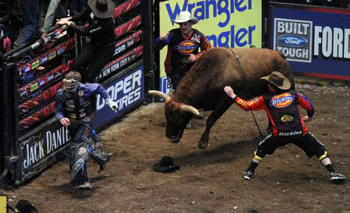 Professional Bull Riders a New York