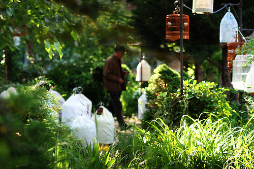 La Top 6 dei segreti di New York