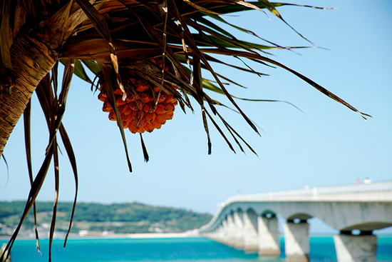 Spiagge paradisiache a Okinawa (Giappone)