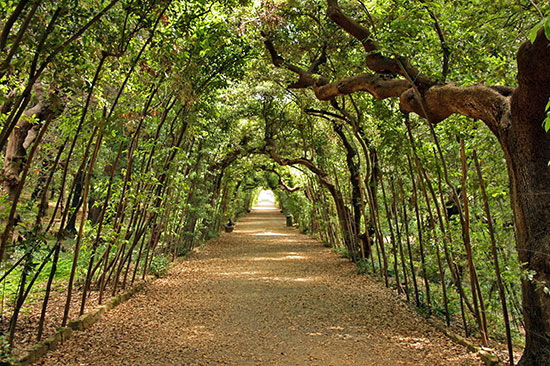 Splendidi giardini in città Splendidi giardini in città