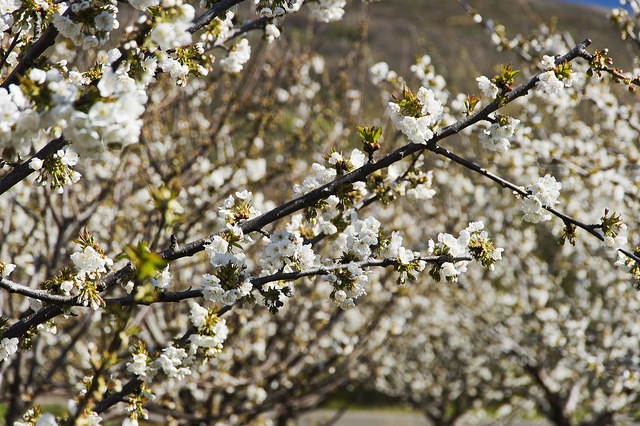 Dove andare questa primavera Dove andare questa primavera
