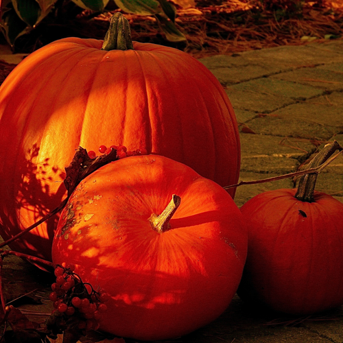 10 mete per un Halloween da paura! 10 mete per un Halloween da paura!