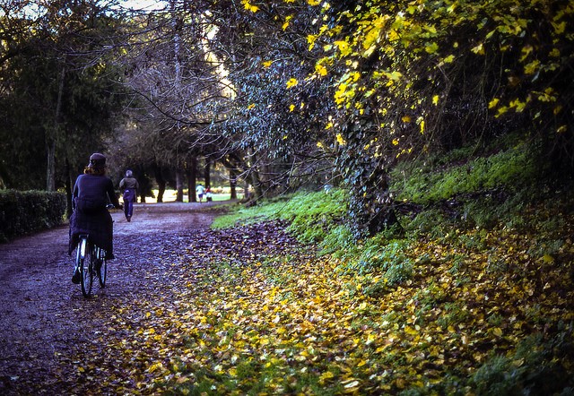 5 attività per bambini a Roma