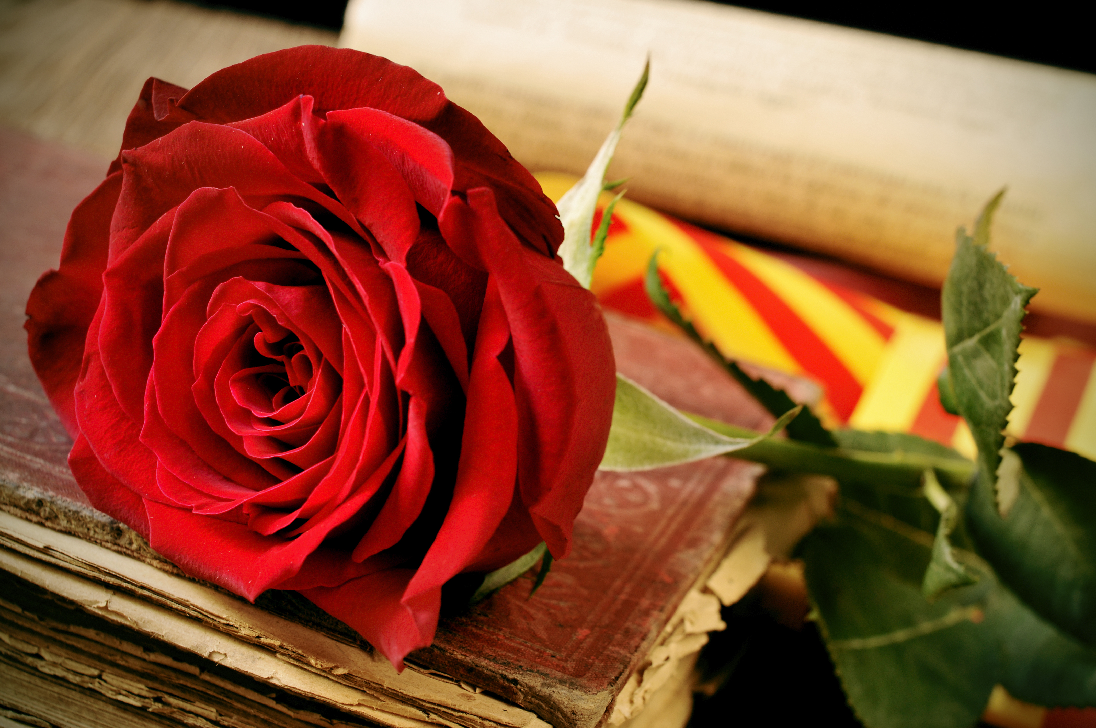Giornata Mondiale del Libro: 5 continenti in 5 libri Giornata Mondiale del Libro: 5 continenti in 5 libri